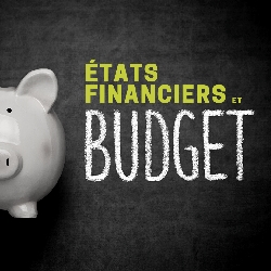 États financiers et Budget : Comprendre, Analyser, Explorer
